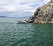 부산 다대포 내만권 다녀왔는데...