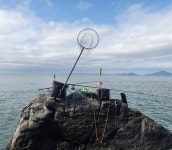 부산 다대포 내만권 다녀왔는데...