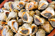 전국별별시장 > 산본전통시장 | 별별시장&별별여행 ┃ 여행문화의 새로운 트렌드를 만들다 전국별별시장 > 산본전통시장