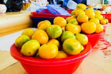 전국별별시장 > 함덕민속오일시장 | 별별시장&별별여행 ┃ 여행문화의 새로운 트렌드를 만들다 전국별별시장 > 함덕민속오일시장