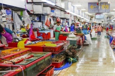 전국별별시장 > 자갈치시장 | 별별시장&별별여행 ┃ 여행문화의 새로운 트렌드를 만들다 전국별별시장 > 자갈치시장