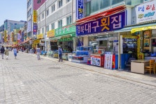 전국별별시장 > 자갈치시장 | 별별시장&별별여행 ┃ 여행문화의 새로운 트렌드를 만들다 전국별별시장 > 자갈치시장