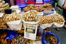 전국별별시장 > 경안시장 | 별별시장&별별여행 ┃ 여행문화의 새로운 트렌드를 만들다 전국별별시장 > 경안시장