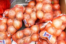 전국별별시장 > 봉화시장 | 별별시장&별별여행 ┃ 여행문화의 새로운 트렌드를 만들다 전국별별시장 > 봉화시장