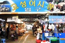 전국별별시장 > 고성시장 | 별별시장&별별여행 ┃ 여행문화의 새로운 트렌드를 만들다 전국별별시장 > 고성시장