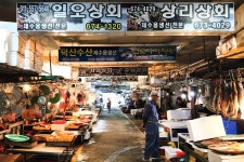 전국별별시장 > 고성시장 | 별별시장&별별여행 ┃ 여행문화의 새로운 트렌드를 만들다 전국별별시장 > 고성시장