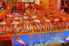 전국별별시장 > 충무동해안시장 | 별별시장&별별여행 ┃ 여행문화의 새로운 트렌드를 만들다 전국별별시장 > 충무동해안시장