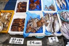 전국별별시장 > 양양시장(양양전통시장) | 별별시장&별별여행 ┃ 여행문화의 새로운 트렌드를 만들다 전국별별시장 > 양양시장(양양전통시장)