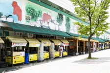 전국별별시장 > 공주산성시장 | 별별시장&별별여행 ┃ 여행문화의 새로운 트렌드를 만들다 전국별별시장 > 공주산성시장