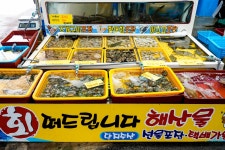 전국별별시장 > 태안서부재래시장 | 별별시장&별별여행 ┃ 여행문화의 새로운 트렌드를 만들다 전국별별시장 > 태안서부재래시장