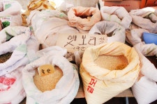 전국별별시장 > 전의왕의물시장(전의전통시장) | 별별시장&별별여행 ┃ 여행문화의 새로운 트렌드를 만들다 전국별별시장 > 전의왕의물시장... 