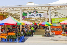 전국별별시장 > 마전시장 | 별별시장&별별여행 ┃ 여행문화의 새로운 트렌드를 만들다 전국별별시장 > 마전시장