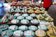 전국별별시장 > 양곡시장(오라니양곡민속5일장) | 별별시장&별별여행 ┃ 여행문화의 새로운 트렌드를 만들다 전국별별시장 > 양곡시장... 