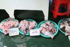 전국별별시장 > 대명항 어판장 | 별별시장&별별여행 ┃ 여행문화의 새로운 트렌드를 만들다 전국별별시장 > 대명항 어판장