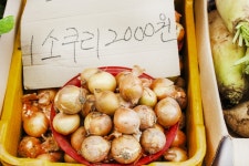전국별별시장 > 남창옹기종기시장 | 별별시장&별별여행 ┃ 여행문화의 새로운 트렌드를 만들다 전국별별시장 > 남창옹기종기시장