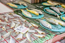 전국별별시장 > 부천제일시장(원종고강제일시장) | 별별시장&별별여행... 새로운 트렌드를 만들다 전국별별시장 > 부천제일시장(원종고강제일시장)