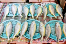 전국별별시장 > 부천제일시장(원종고강제일시장) | 별별시장&별별여행... 새로운 트렌드를 만들다 전국별별시장 > 부천제일시장(원종고강제일시장)