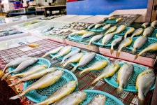 전국별별시장 > 부천제일시장(원종고강제일시장) | 별별시장&별별여행... 새로운 트렌드를 만들다 전국별별시장 > 부천제일시장(원종고강제일시장)