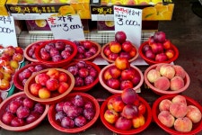 전국별별시장 > 부천제일시장(원종고강제일시장) | 별별시장&별별여행... 새로운 트렌드를 만들다 전국별별시장 > 부천제일시장(원종고강제일시장)