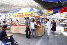 전국별별시장 > 모란민속5일장 | 별별시장&별별여행 ┃ 여행문화의 새로운 트렌드를 만들다 전국별별시장 > 모란민속5일장