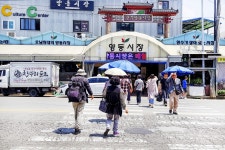 전국별별시장 > 양동시장 | 별별시장&별별여행 ┃ 여행문화의 새로운 트렌드를 만들다 전국별별시장 > 양동시장