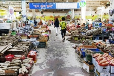 전국별별시장 > 엄궁농산물도매시장 | 별별시장&별별여행 ┃ 여행문화의 새로운 트렌드를 만들다 전국별별시장 > 엄궁농산물도매시장