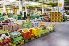 전국별별시장 > 엄궁농산물도매시장 | 별별시장&별별여행 ┃ 여행문화의 새로운 트렌드를 만들다 전국별별시장 > 엄궁농산물도매시장