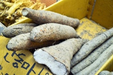 전국별별시장 > 까치산시장 | 별별시장&별별여행 ┃ 여행문화의 새로운 트렌드를 만들다 전국별별시장 > 까치산시장