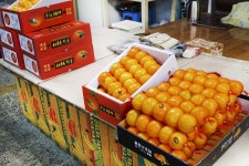 전국별별시장 > 보수종합시장 | 별별시장&별별여행 ┃ 여행문화의 새로운 트렌드를 만들다 전국별별시장 > 보수종합시장