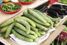 전국별별시장 > 강진읍시장 | 별별시장&별별여행 ┃ 여행문화의 새로운 트렌드를 만들다 전국별별시장 > 강진읍시장