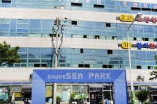 전국별별시장 > 다대씨파크 | 별별시장&별별여행 ┃ 여행문화의 새로운 트렌드를 만들다 전국별별시장 > 다대씨파크