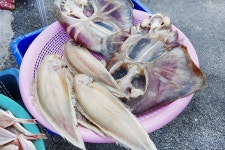 전국별별시장 > 다대씨파크 | 별별시장&별별여행 ┃ 여행문화의 새로운 트렌드를 만들다 전국별별시장 > 다대씨파크