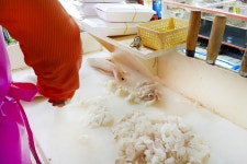 전국별별시장 > 다대씨파크 | 별별시장&별별여행 ┃ 여행문화의 새로운 트렌드를 만들다 전국별별시장 > 다대씨파크