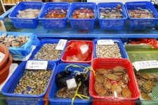 전국별별시장 > 문창시장 | 별별시장&별별여행 ┃ 여행문화의 새로운 트렌드를 만들다 전국별별시장 > 문창시장