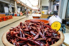 전국별별시장 > 주문진종합시장 | 별별시장&별별여행 ┃ 여행문화의 새로운 트렌드를 만들다 전국별별시장 > 주문진종합시장