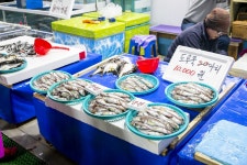 전국별별시장 > 주문진항 수산물 좌판 풍물시장 | 별별시장&별별여행 ┃ 여행문화의 새로운 트렌드를 만들다 전국별별시장 > 주문진항 수산물...