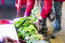 전국별별시장 > 밀양아리랑시장 | 별별시장&별별여행 ┃ 여행문화의 새로운 트렌드를 만들다 전국별별시장 > 밀양아리랑시장