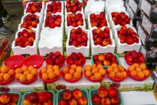 전국별별시장 > 가경터미널시장 | 별별시장&별별여행 ┃ 여행문화의 새로운 트렌드를 만들다 전국별별시장 > 가경터미널시장