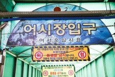 전국별별시장 > 강릉중앙시장 | 별별시장&별별여행 ┃ 여행문화의 새로운 트렌드를 만들다 전국별별시장 > 강릉중앙시장