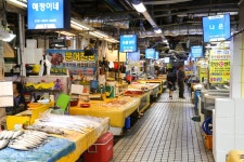 전국별별시장 > 강릉중앙시장 | 별별시장&별별여행 ┃ 여행문화의 새로운 트렌드를 만들다 전국별별시장 > 강릉중앙시장