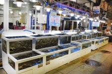 전국별별시장 > 자유시장 | 별별시장&별별여행 ┃ 여행문화의 새로운 트렌드를 만들다 전국별별시장 > 자유시장