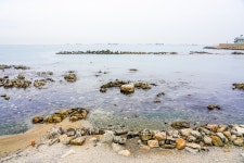 별별골목 > 꽃바위회거리 | 별별시장&별별여행 ┃ 여행문화의 새로운 트렌드를 만들다 별별골목 > 꽃바위회거리