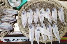 전국별별시장 > 명산시장 | 별별시장&별별여행 ┃ 여행문화의 새로운 트렌드를 만들다 전국별별시장 > 명산시장