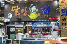 전국별별시장 > 서귀포 매일올레시장 | 별별시장&별별여행 ┃ 여행문화의 새로운 트렌드를 만들다 전국별별시장 > 서귀포 매일올레시장