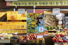 전국별별시장 > 서귀포 매일올레시장 | 별별시장&별별여행 ┃ 여행문화의 새로운 트렌드를 만들다 전국별별시장 > 서귀포 매일올레시장