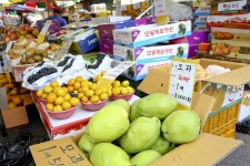 전국별별시장 > 동부시장 | 별별시장&별별여행 ┃ 여행문화의 새로운 트렌드를 만들다 전국별별시장 > 동부시장