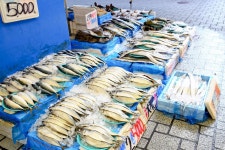 전국별별시장 > 방학동도깨비시장 | 별별시장&별별여행 ┃ 여행문화의 새로운 트렌드를 만들다 전국별별시장 > 방학동도깨비시장