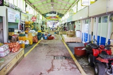 별별축제 > 건강문화축제 | 별별시장&별별여행 ┃ 여행문화의 새로운 트렌드를 만들다 별별축제 > 건강문화축제