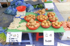 전국별별시장 > 송정매일시장(송정5일시장) | 별별시장&별별여행 ┃ 여행문화의 새로운 트렌드를 만들다 전국별별시장 > 송정매일시장(송정5일시장)