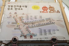 별별축제 > 양동건어물시장 건맥 축제 | 별별시장&별별여행 ┃ 여행문화의 새로운 트렌드를 만들다 별별축제 > 양동건어물시장 건맥 축제